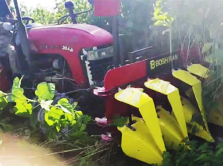 BG大游集团4GL-5A桑麻收割机