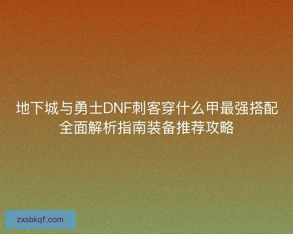 地下城与勇士DNF刺客穿什么甲最强搭配全面解析指南装备推荐攻略