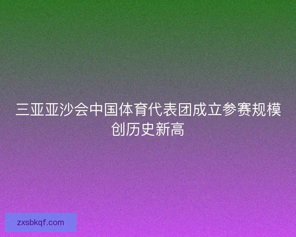 三亚亚沙会中国体育代表团成立参赛规模创历史新高