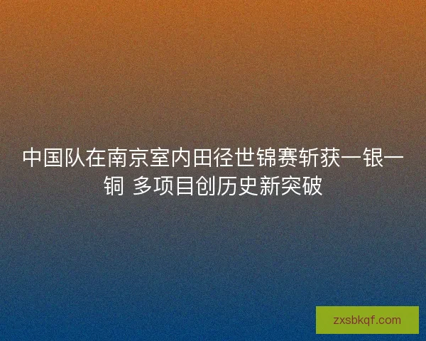 中国队在南京室内田径世锦赛斩获一银一铜 多项目创历史新突破